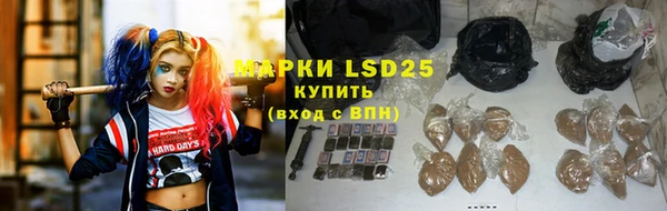 гидра Богданович