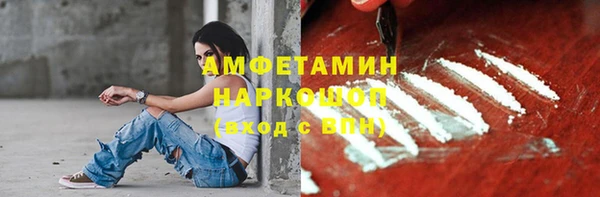 гидра Богданович