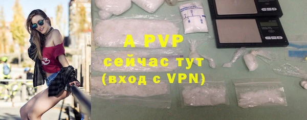 гидра Богданович