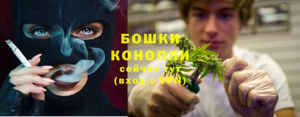 эйфоретик Богородск