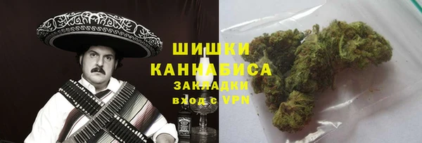 гидра Богданович