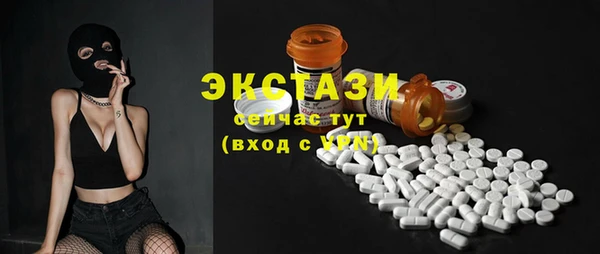 гидра Богданович