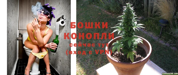 гидра Богданович