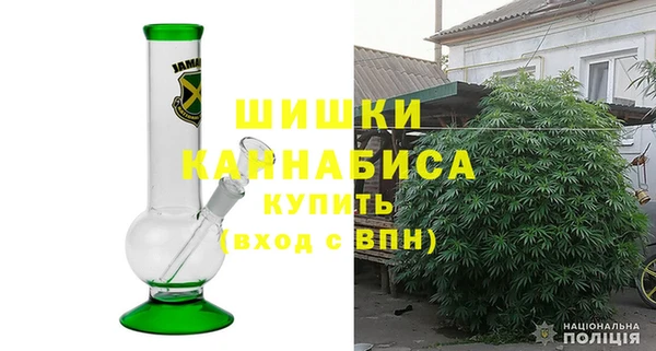 гидра Богданович
