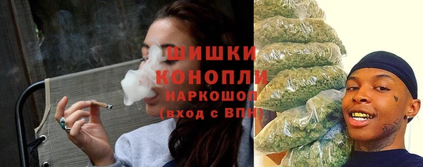 прущие грибы Ростов