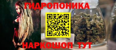 jwh Новозыбков