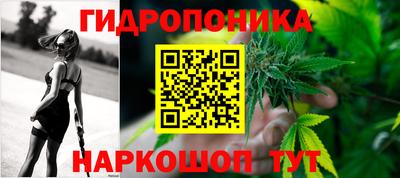 jwh Новозыбков