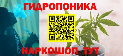 jwh Новозыбков